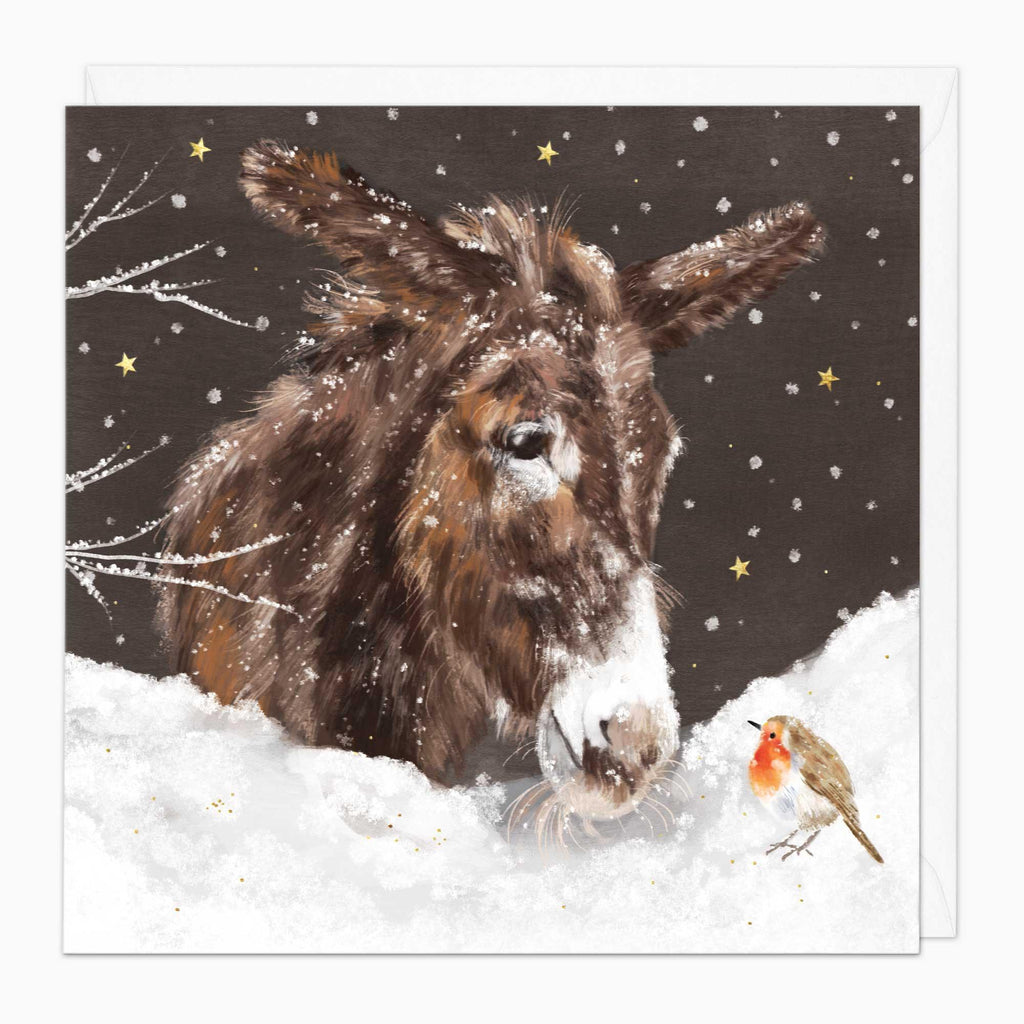 Christmas Card-XA265 - Donkey & Robin In The Snow Christmas Card-Whistlefish