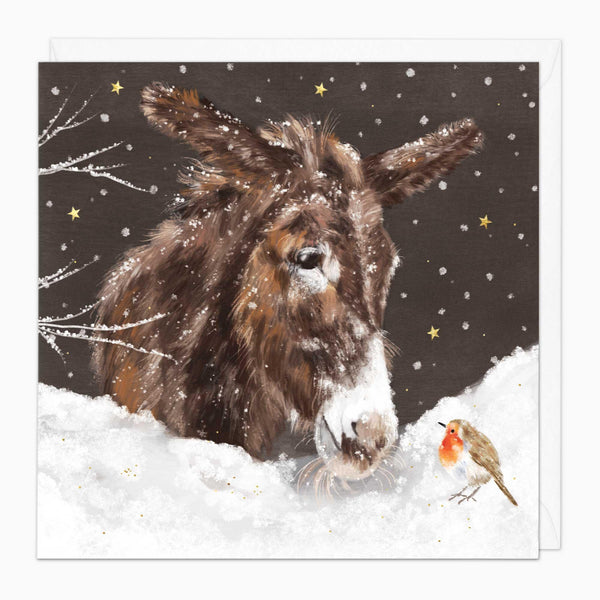 Christmas Card-XA265 - Donkey & Robin In The Snow Christmas Card-Whistlefish