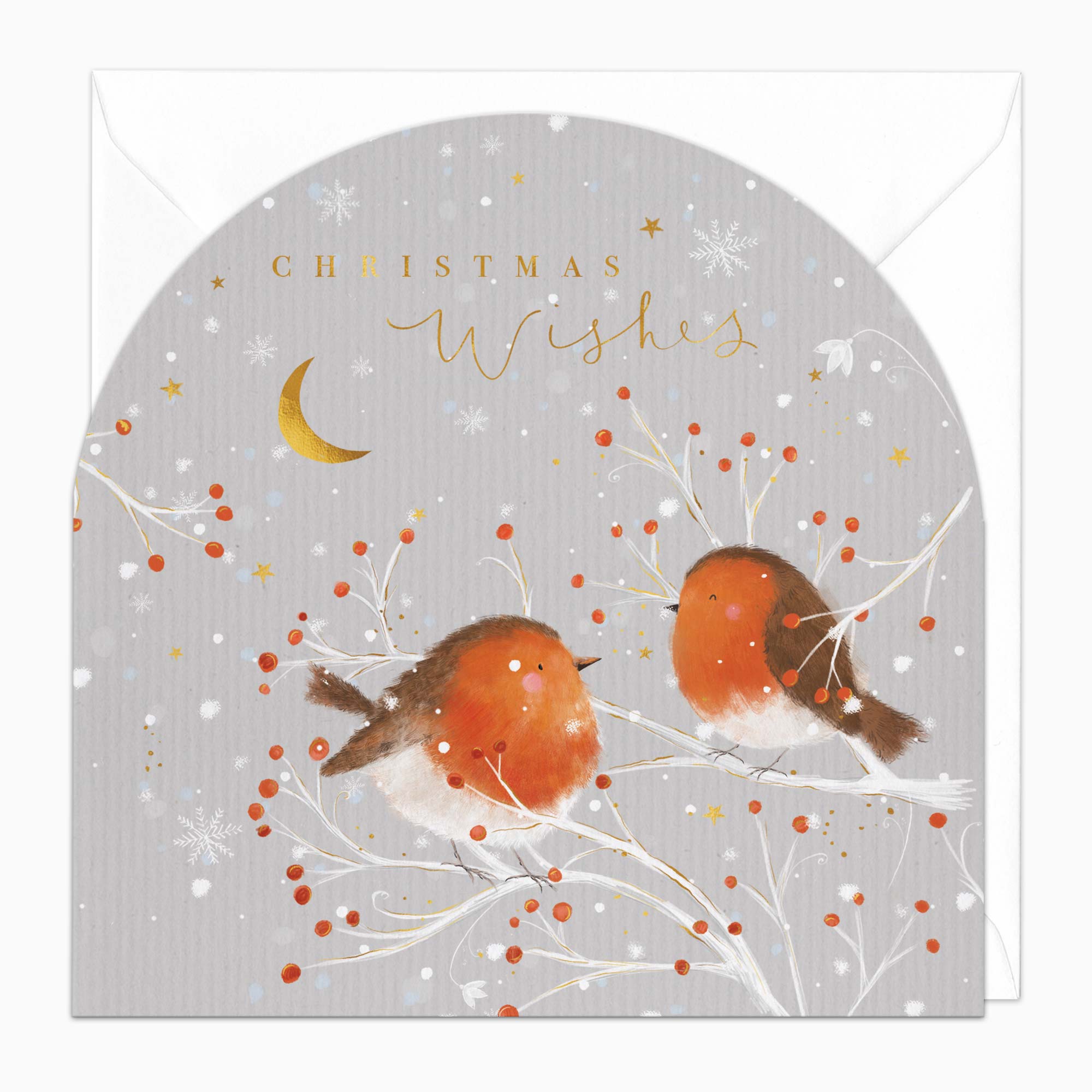 Christmas Card-XA311 - 2 Round Robins Christmas Card-Whistlefish