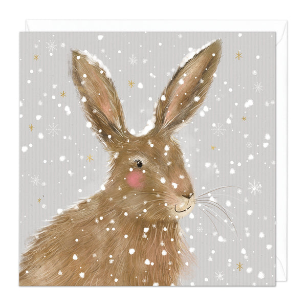 Christmas Card - Z061 - Hare Merry Christmas Card - Merry Christmas, Hare Card - Whistlefish