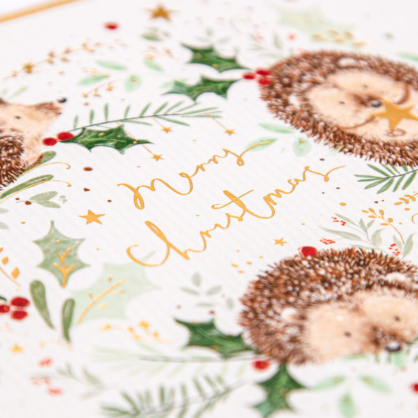 Christmas Card - Z112 - Hedgehogs Wreath Christmas Card - Merry Christmas Hedgehogs Card - Whistlefish