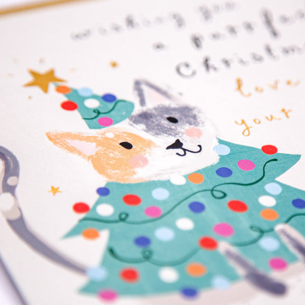 Christmas Card - Z116 - Purrfect Christmas Card - Purrfect Christmas Card - Whistlefish