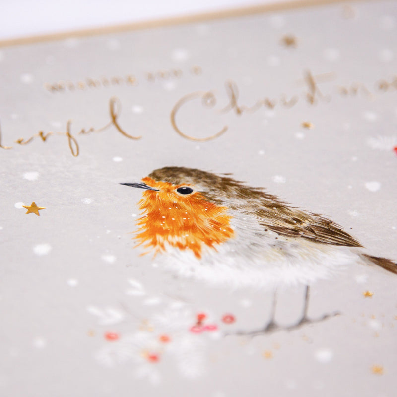 Christmas Card - Z168 - Festive Friends, Robin Christmas Card - Festive Friends, Robin Christmas Card - Whistlefish