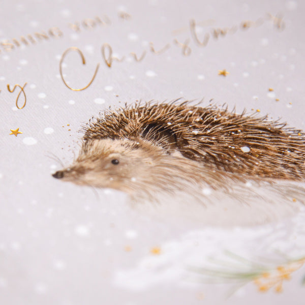 Christmas Card - Z170 - Festive Friends, Hedgehog Christmas Card - Festive Friends, Hedgehog Christmas Card - Whistlefish