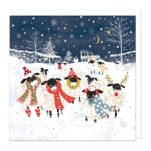 Christmas Card - Z192 - Wrap Up Warm, Sheep Christmas Card - Wrap Up Warm, Sheep Christmas Card - Whistlefish