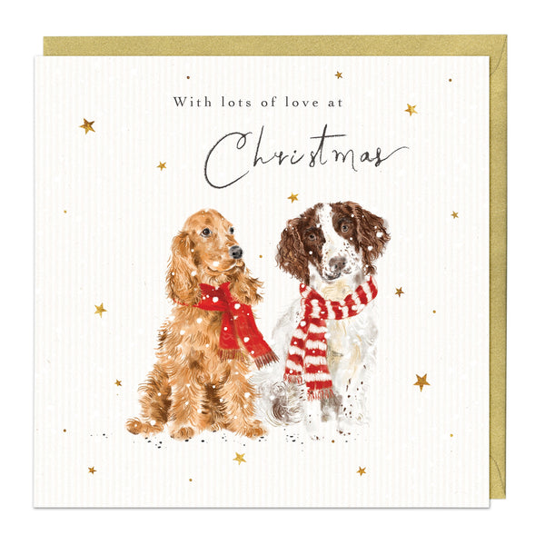 Christmas Card - Z197 - Wrapped Up Dogs Christmas Card - Wrap Up Warm Dogs Christmas Card - Whistlefish