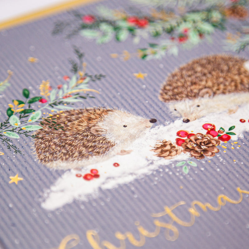 Christmas Card - Z202 - Hedgehog Wishes Christmas Card - Christmas Wishes Pinstripe Card - Whistlefish