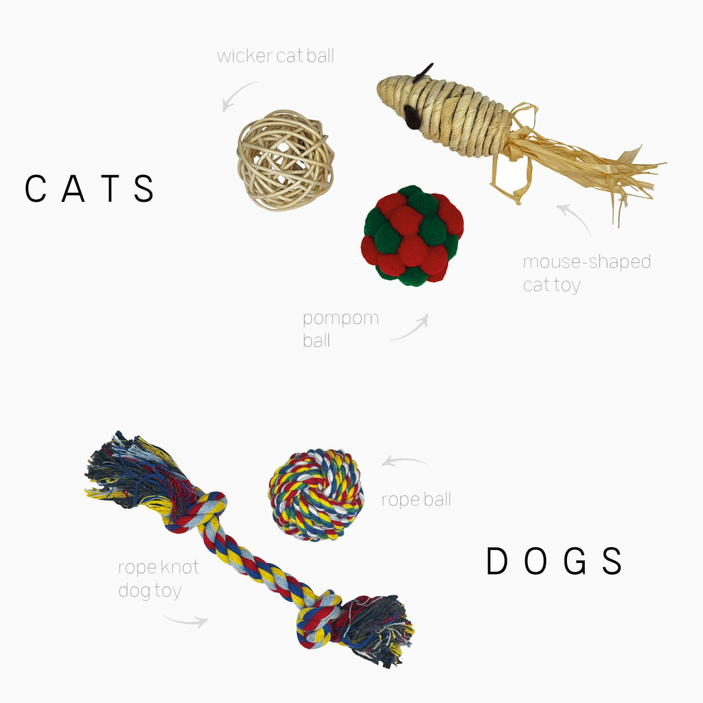 Christmas Crackers-HI25-CHAR-5 - 1 Pets Cats Christmas Crackers-Holly & Ivy