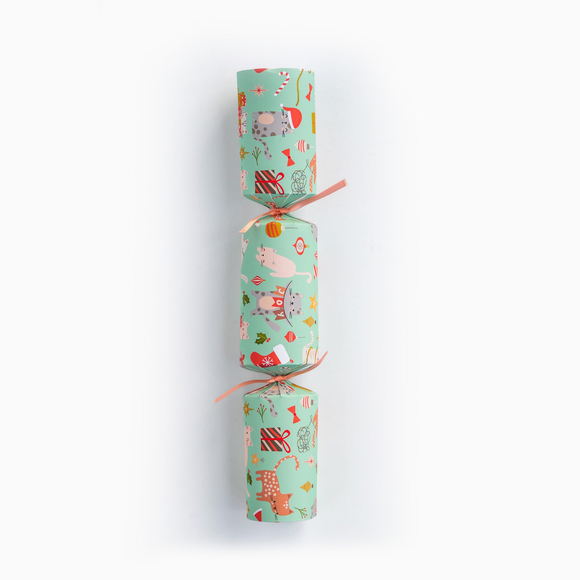 Christmas Crackers-HI25-CHAR-5 - 1 Pets Cats Christmas Crackers-Holly & Ivy