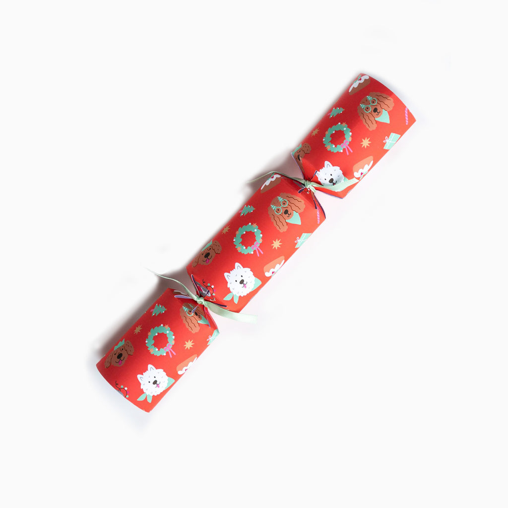 Christmas Crackers-HI25-CHAR-6 - 1 Pets Dogs Christmas Crackers-Holly & Ivy