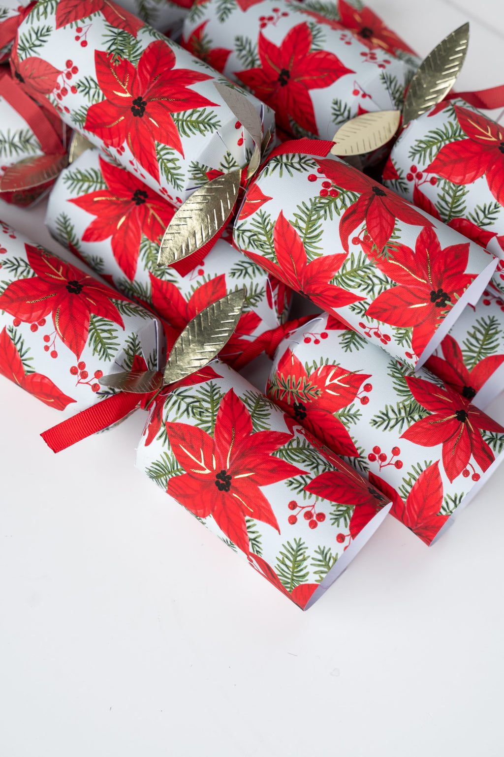 Christmas Crackers-HI25-LUX-4 - 6 Poinsettia Christmas Crackers-Holly & Ivy