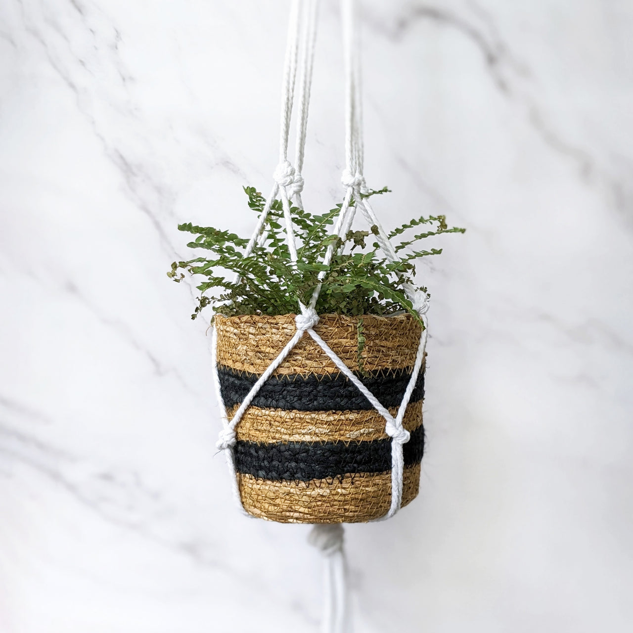 Craft Kit-RFS14482 - Macrame Hanging Planters Craft Kit-Robert Frederick
