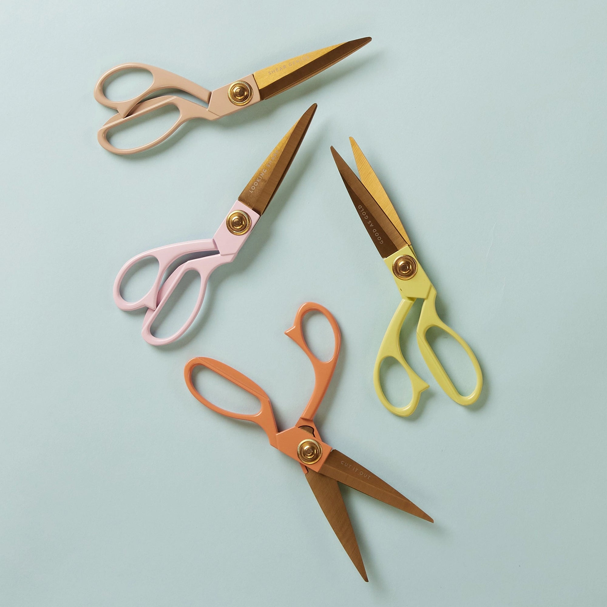 Scissors-DSCB-1007EU - Boxed Scissors Poppy-Designworks Collective