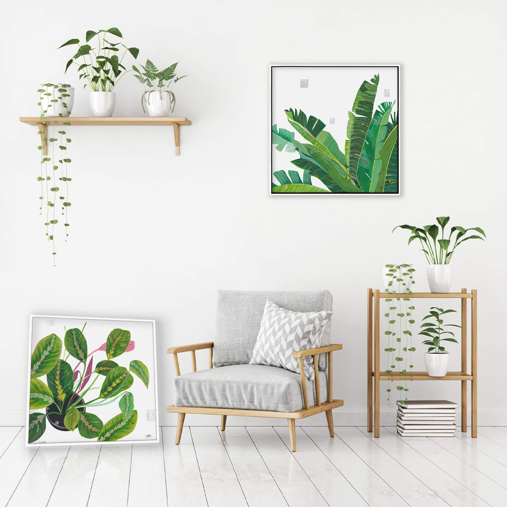 Canvas-LPC45F - Prayer Plant Framed Canvas-Whistlefish