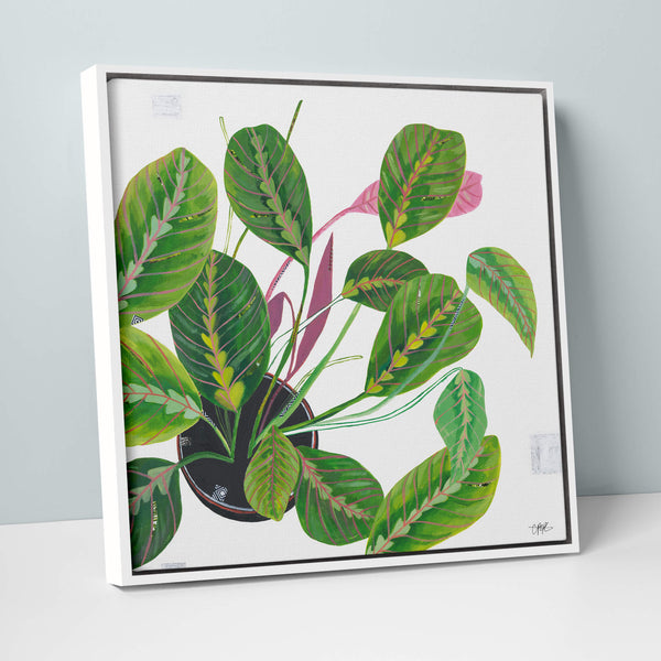 Canvas-LPC45F - Prayer Plant Framed Canvas-Whistlefish