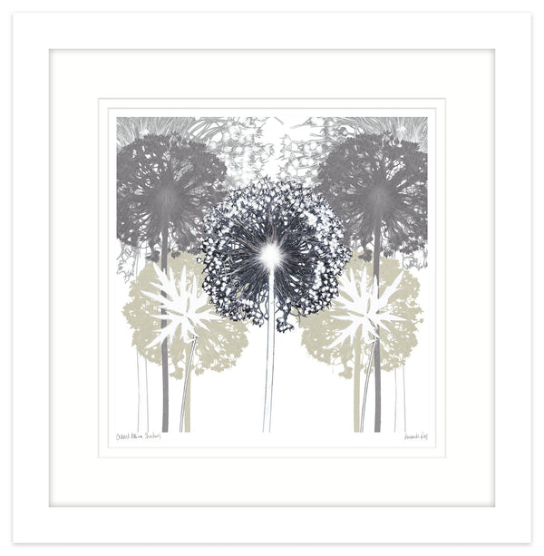 Framed Print-AR01F - Ordered Allium Shadows Framed Print-Whistlefish