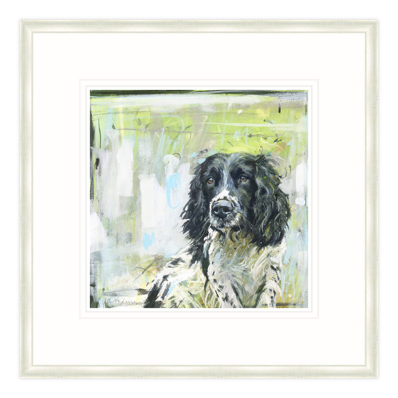 Framed Print - BART102F - Springer on Green Framed Print - Springer on Green Framed Print - Whistlefish