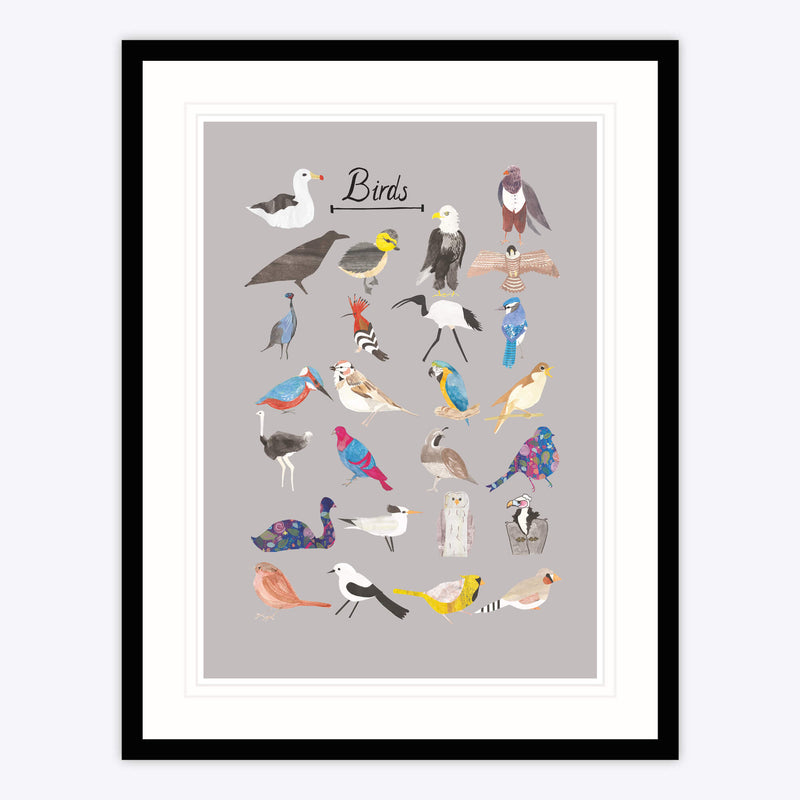 Framed Print - CAS01F - Birds Framed Print - Birds Framed Print by Catherine Stone - Whistlefish