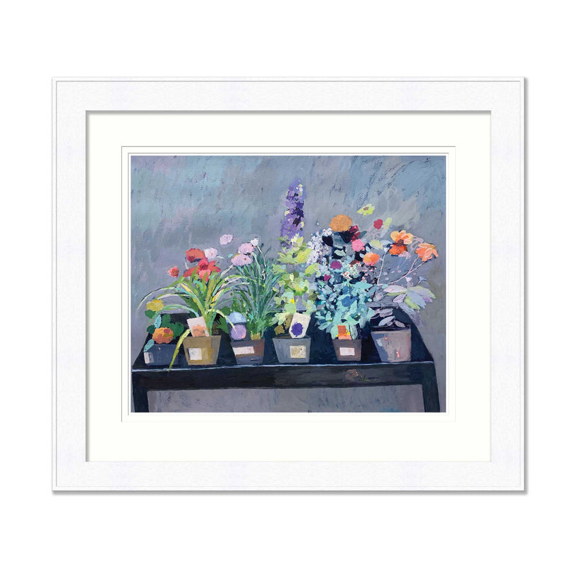 Framed Print - CHH06F - Common Beauties Large Framed Print - Common Beauties Large Framed Print - Whistlefish