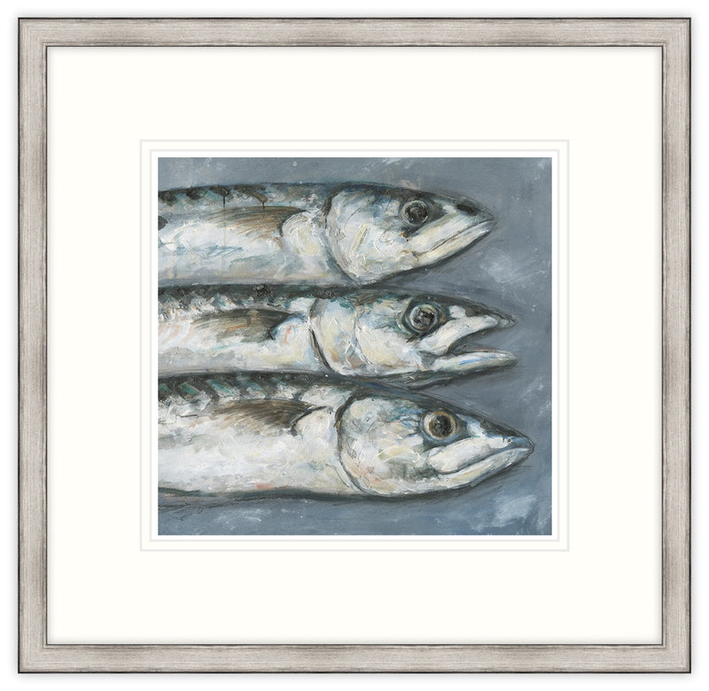 Framed Print-GW04F - 3 Mackerel Framed Print Large-Whistlefish