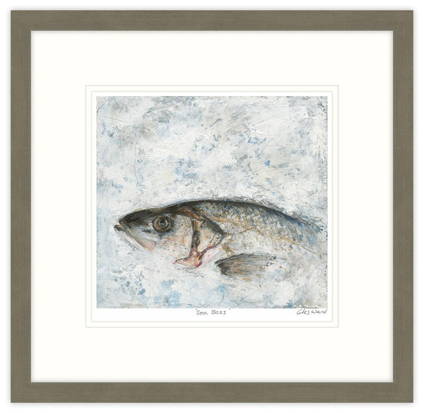 Framed Print-GW05F - Sea Bass Small-Whistlefish