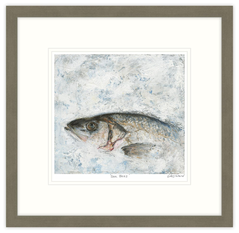 Framed Print-GW05F - Sea Bass Small-Whistlefish