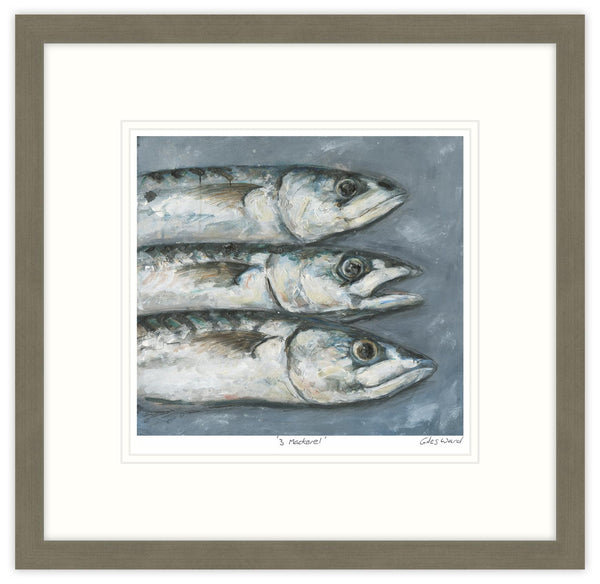 Framed Print-GW08F - 3 Mackerel Framed Print-Whistlefish