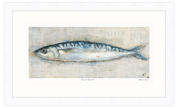 Framed Print-GW23F - Cornish Mackerel Framed Print-Whistlefish