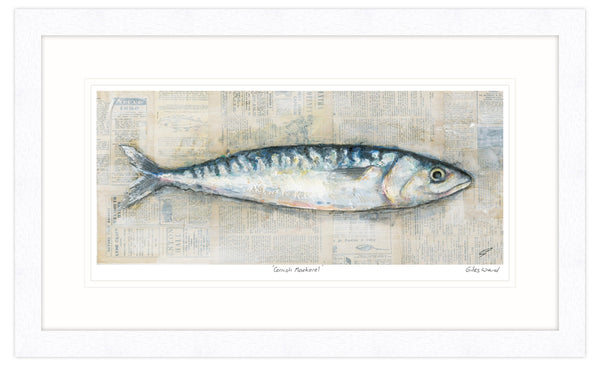 Framed Print-GW24F - Cornish Mackerel 2 Framed Print-Whistlefish