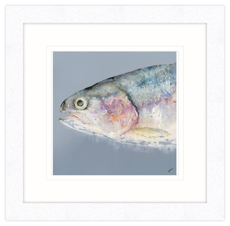 Framed Print-GW25F - Rainbow Trout Large Framed Print-Whistlefish