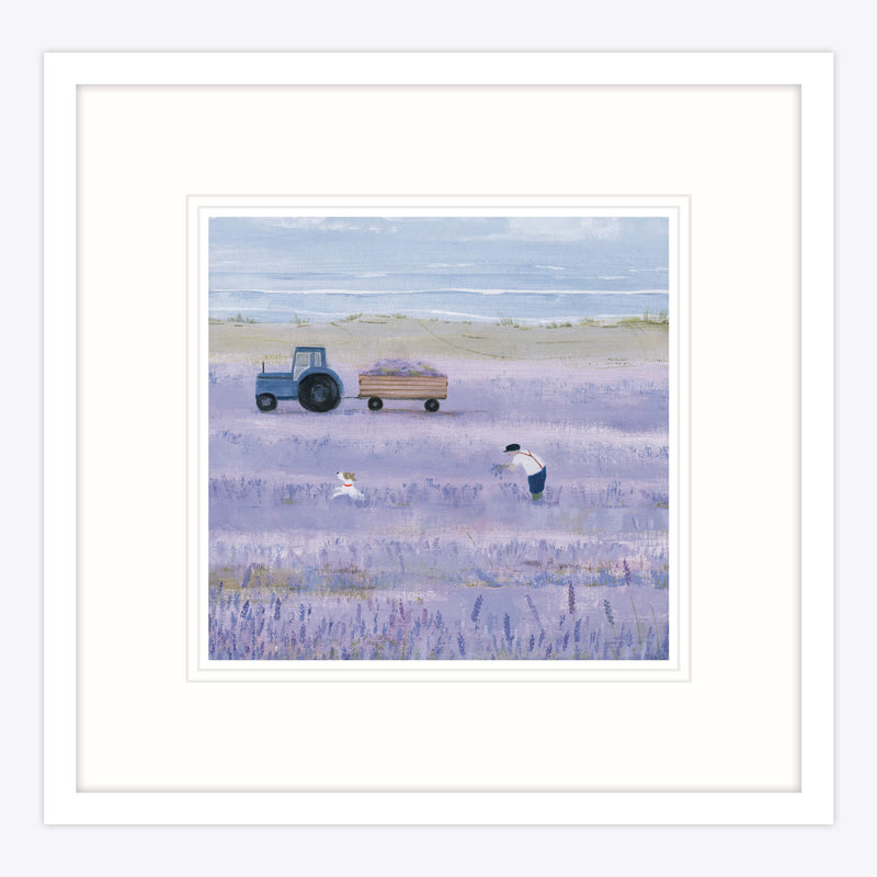 Framed Print-HC183F - Lavender Fields Framed Print-Whistlefish