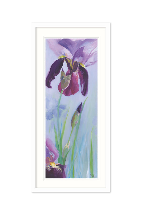 Framed Print-IC276F - Iris Flower Large-Whistlefish
