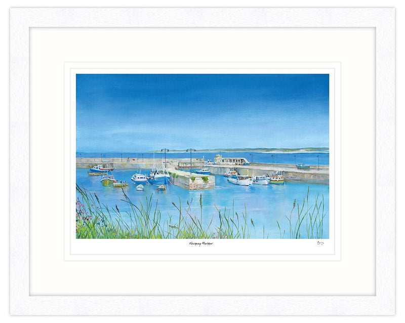 Newquay Harbour Framed Print