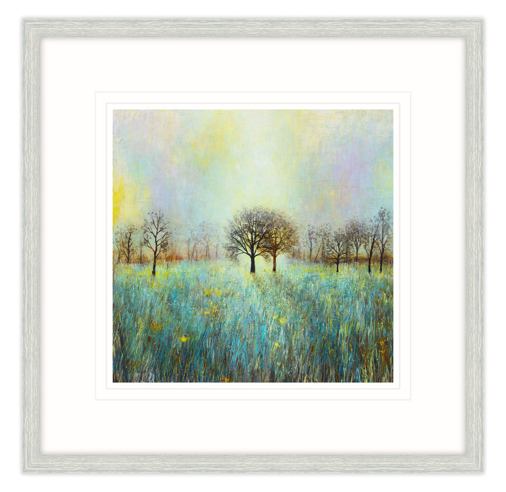 Framed Print-JS24F - Evening Shadow Framed Print-Whistlefish
