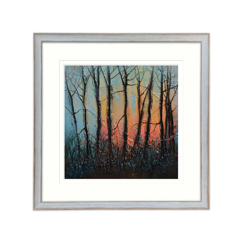 Framed Print-JS31F - Sunlit Forest Med framed print-Whistlefish