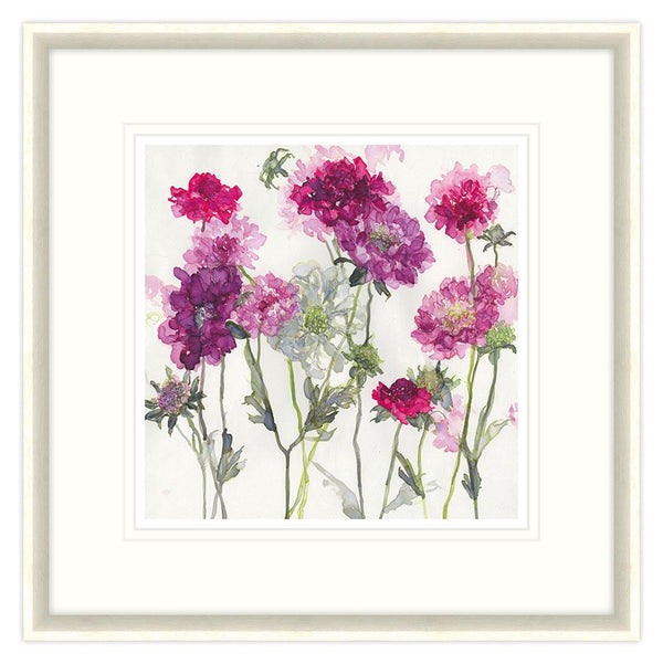 Framed Print-JT26F - Mixed Scabious Floral Framed Print-Whistlefish