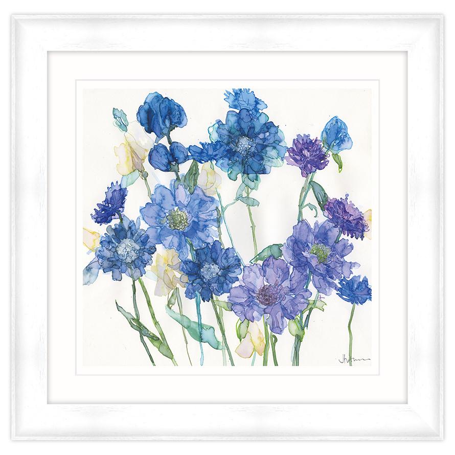 Framed Print-JT36F - Cornflowers & Mixed Scabious Framed Print-Whistlefish