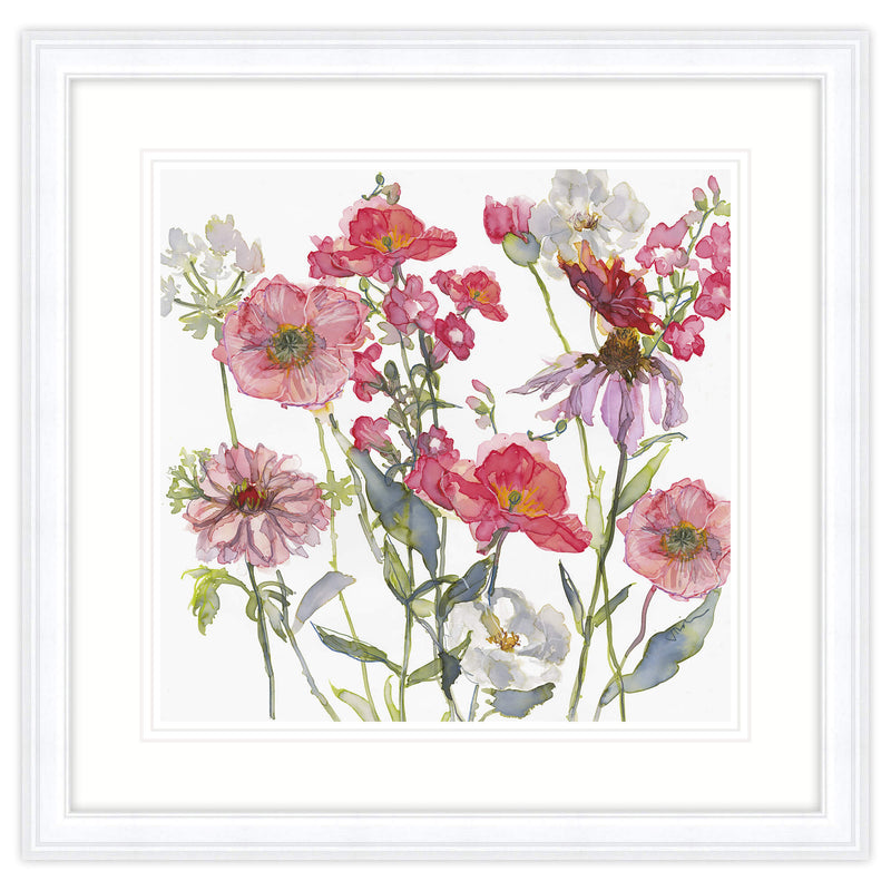 Framed Print - JT46F - Dahlia, Pensleman & Echinacea Framed Print - 
