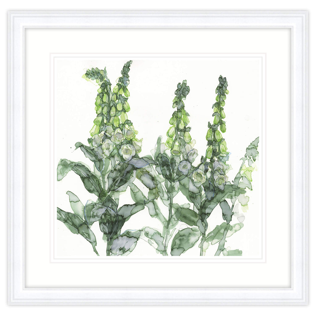 Framed Print-JT50F - White Foxgloves Framed Print-Whistlefish