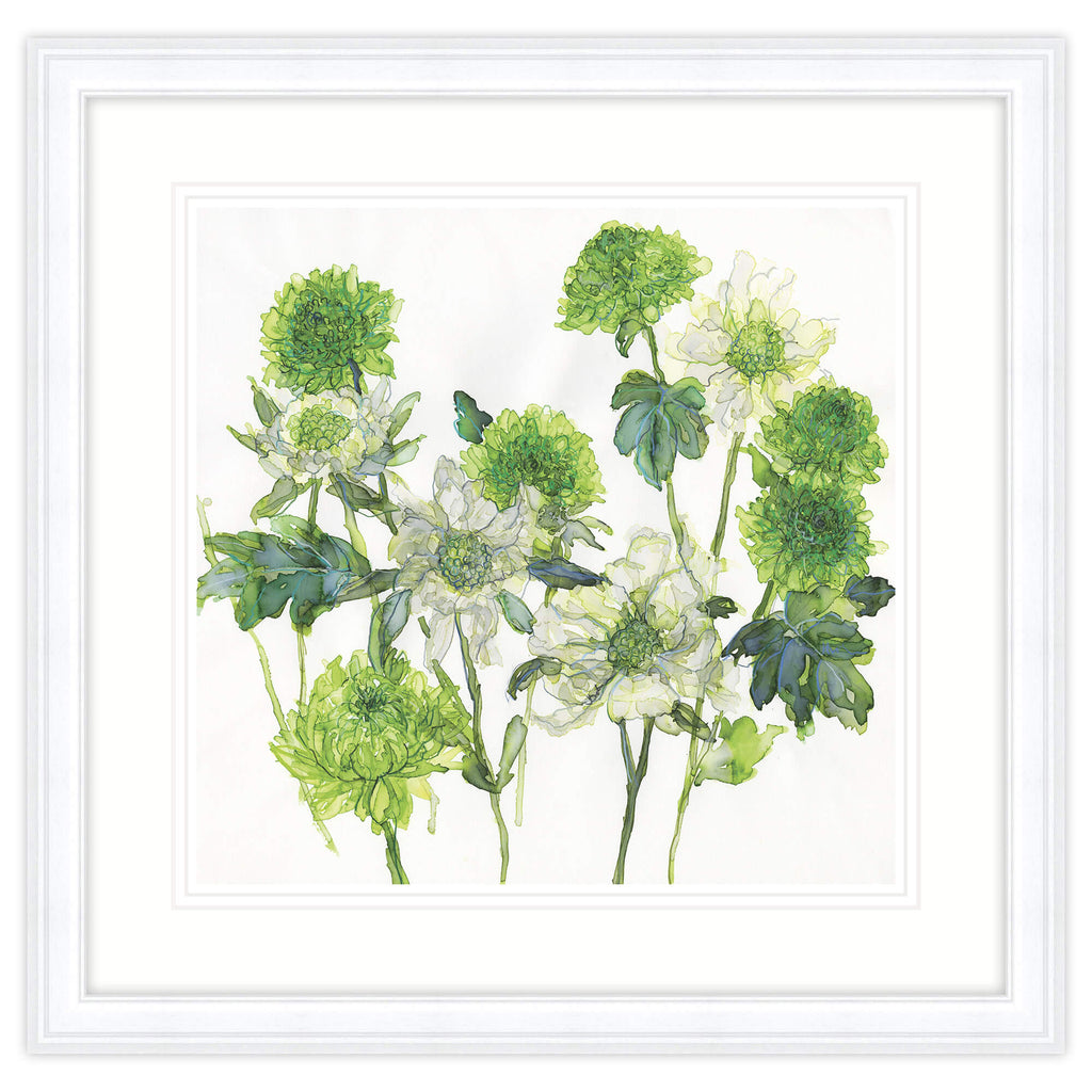 Framed Print-JT53F - Scabious & Chrysanthemum Framed Print-Whistlefish