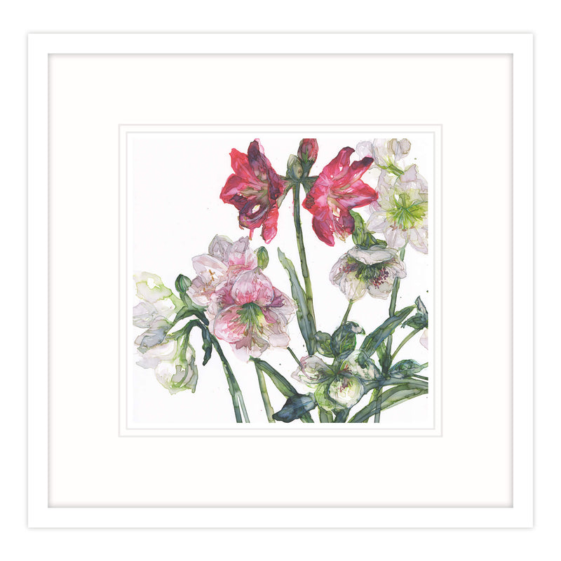 Framed Print-JT63F - Mixed Amaryllis and Hellebore Framed Print-Whistlefish