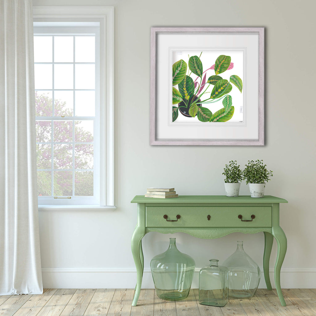 Framed Print-LP175F - Prayer Plant Framed Print-Whistlefish
