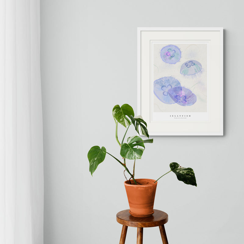 Framed Print - WF1024F - Seagrass Jellyfish Large Framed Print - Seagrass Jellyfish Large - Whistlefish