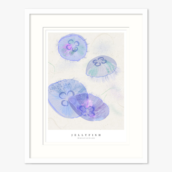 Framed Print - WF1024F - Seagrass Jellyfish Large Framed Print - Seagrass Jellyfish Large - Whistlefish