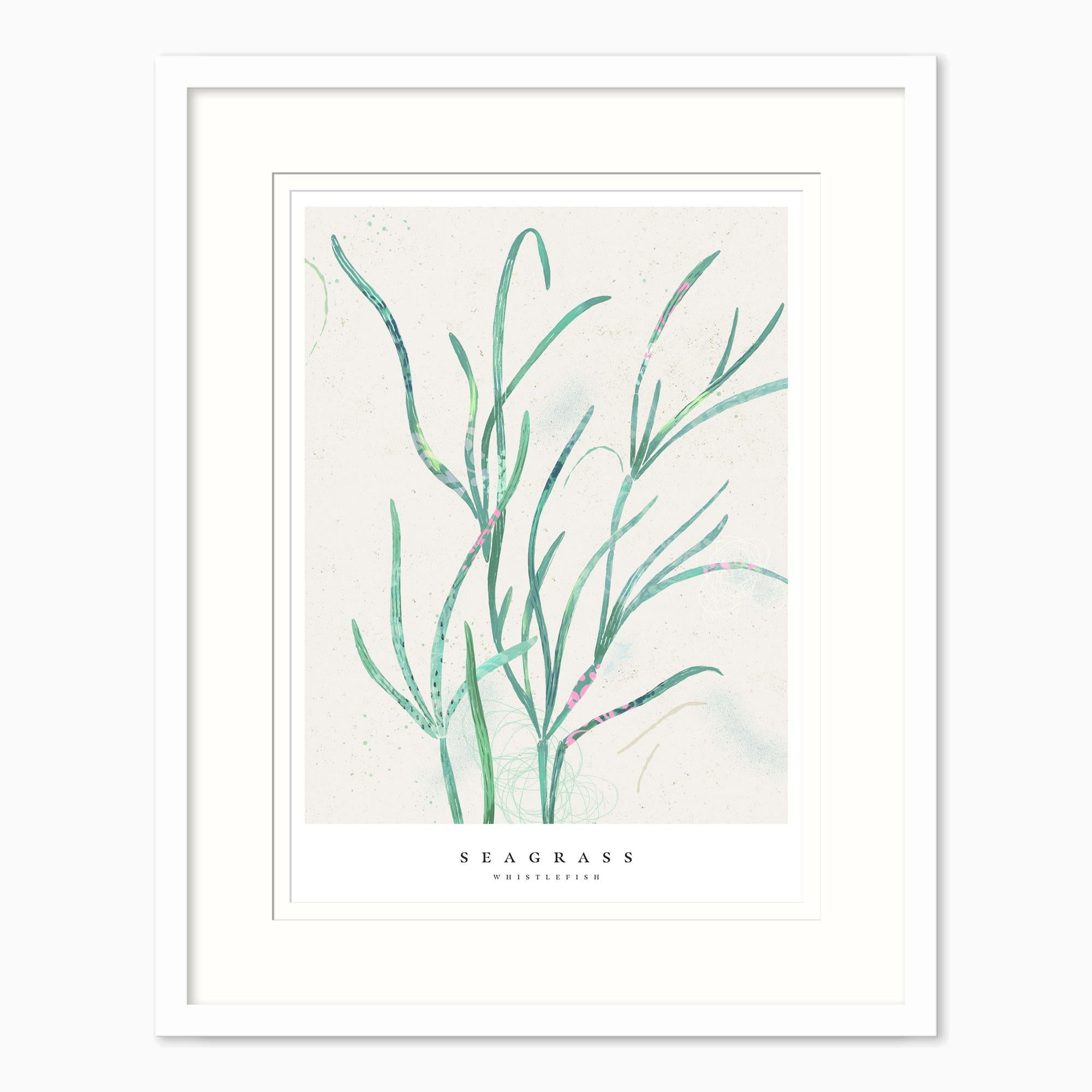 Framed Print-WF1033F - Seagrass Small Framed Print-Whistlefish