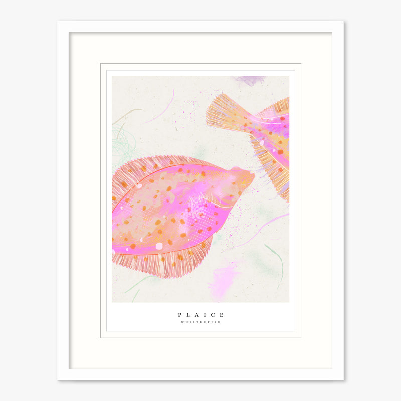 Framed Print - WF1035F - Seagrass Plaice Small Framed Print - Seagrass Plaice Small - Whistlefish