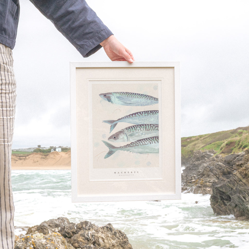Framed Print-WF1037F - Seagrass Mackerel Small Framed Print-Whistlefish
