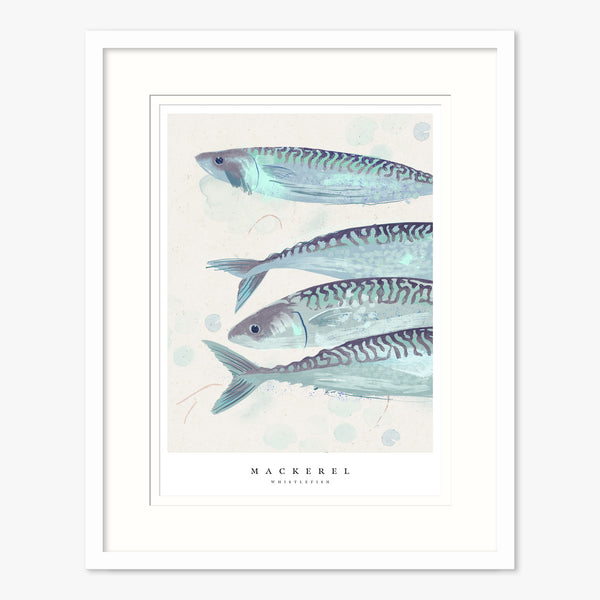 Framed Print - WF1037F - Seagrass Mackerel Small Framed Print - Seagrass Mackerel Small - Whistlefish