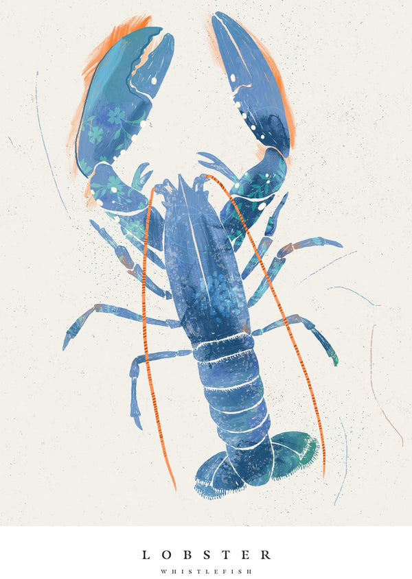 Framed Print - WF1038F - Seagrass Lobster Small Framed Print - Seagrass Lobster Small - Whistlefish