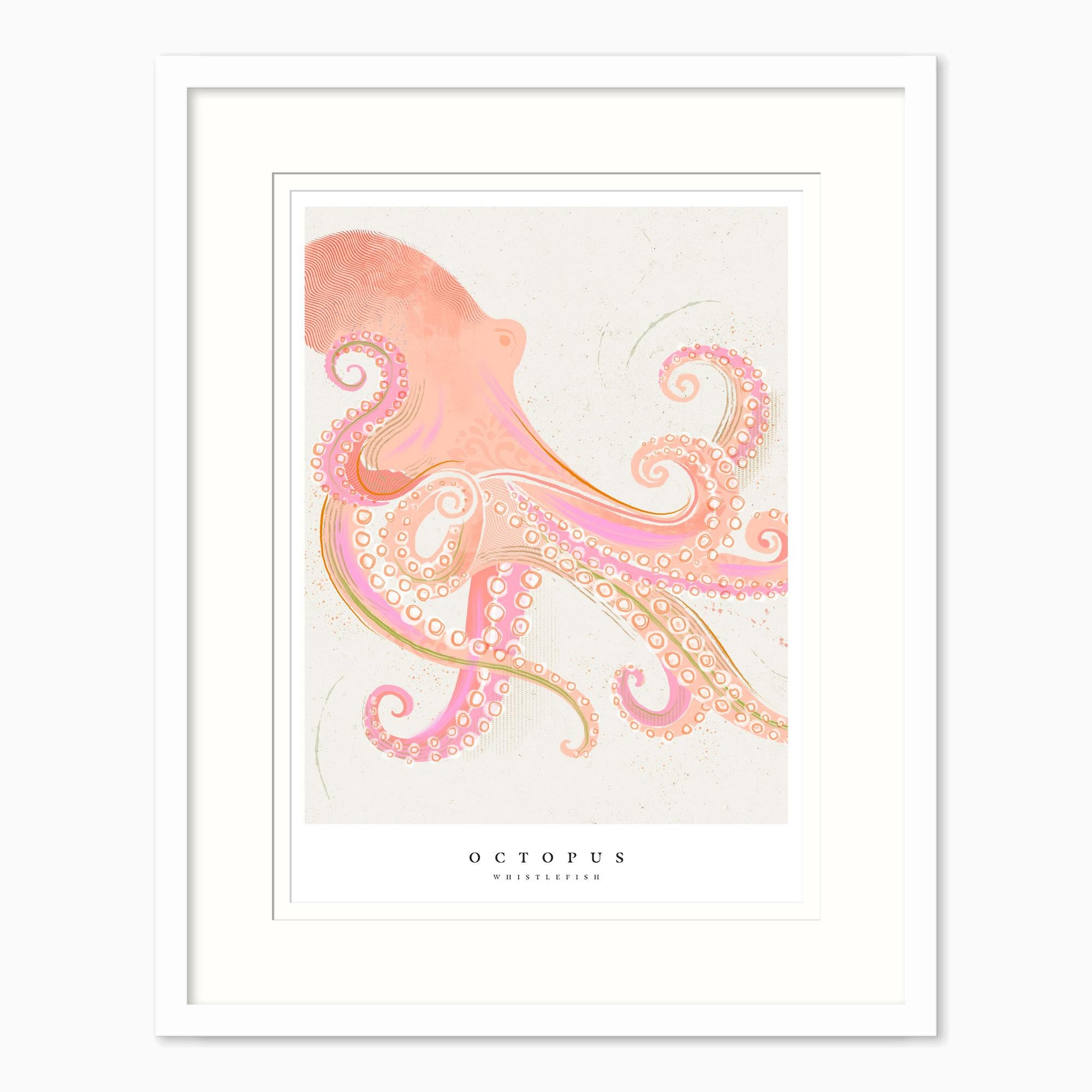 Framed Print-WF1039F - Seagrass Octopus Small Framed Print-Whistlefish